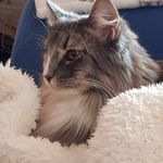 Isabelle Graf - @chocabon - Instagram