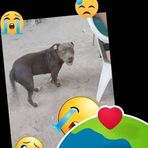 Isabella Guzman - Facebook