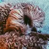 isabellehoffman5 - @isabellehoffman5 - TikTok