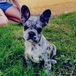 Isabelle Hoffmann - @_bubble_for_life_ - Instagram