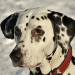 isabelle hull - @hull7904xn - Instagram