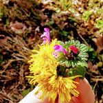 Isabelle Katherine hull - @thephotofriends_ - Instagram