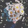 bella - @isabelle.joyce - TikTok