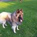 Isabelle Kaiser - Facebook
