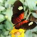 Isabelle Maire Kessler - Facebook