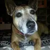 Isabelle and Jessie - @isabelle.kidd22 - TikTok