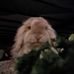 Izzy Knutson - Facebook