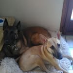 Isabelle Leger - @isabelle.leger.3720 - Instagram