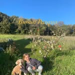 Isabelle Meier Mancini - @isamei8 - Instagram