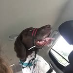 Isabelle Meredith - @_izzy.meredith_ - Instagram