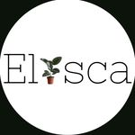 Isabelle Mitchell - @elisca.interiors - Instagram