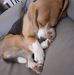 Isabelle Morin - Facebook