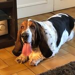Isabelle Morin - @isousolo1 - Instagram