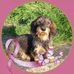 Isabelle Morin - Facebook