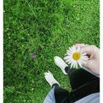 Isabelle Morrison - @isabellemorrison1537 - Instagram
