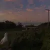 Isabellemorrison_ - @isabellemorrison_ - TikTok