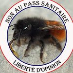 Isabelle Neff - @neffisabelle1 - Instagram