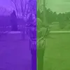 @someone - @isabelleolson1 - TikTok