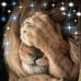 Isabelle Pace - Facebook