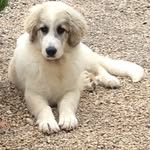 Pace Isabelle - @pace.isabelle - Instagram