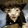 ɪsᴀʙᴀʟʟs🫃 - @isabelle.perry3 - TikTok