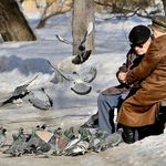 isabelle petersen - @petersen47826rklf - Instagram