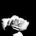 Isabelle Plummer - Facebook