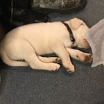 Isabelle Price - @isabelleprice2482 - Instagram