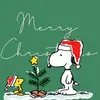 🎅🎄☃️Isabelle_Riley☃️🎄🎅 - @isabelle_riley46 - TikTok