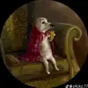 Izzybitsyspider - @isabellerileyx - TikTok