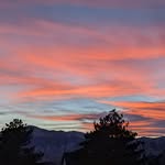 Isabelle Schuster - @travelingbelleandbee - Instagram