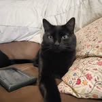 Isabelle Smart - @irsmart57 - Instagram