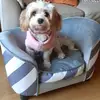 Isabelle Snow - @isabelles09 - TikTok