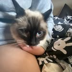 Isabelle stephens - @issy_32914 - Instagram