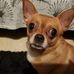 Isabelle Valade - Facebook