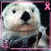 Isabelle Valade - Facebook
