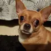 Isabelle Valade - @isabelle.valade - TikTok