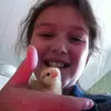 Isabelle Frivance - @isabellefrivance - TikTok