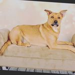 Isabelle Wallace - @123_isabelle_wallace_456 - Instagram