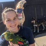 Isabelle Ward - @isabelle.ward.95 - Instagram