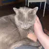 Isabelle white - @isabelle.gavin20 - TikTok