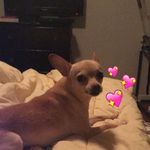Isabelle Wiley - @princess__iz - Instagram