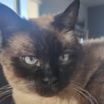 Isabelle Wilhelm Florimond - @bluezab - Instagram