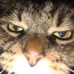 Isabella Yoder - @iyoder2006 - Instagram