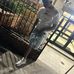 Isael Sanchez Nivar - Facebook