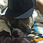 Isai Chavez - @isaichavez_07 - Instagram