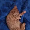 Isai Olvera - @isai.olvera3 - TikTok