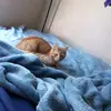 isaiiolveraa123 - @isaiiolvera - TikTok