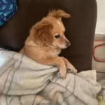 Jacob Isaí Serna Domínguez - @jacobisaiserna - Instagram