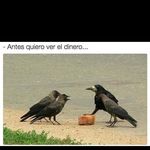 el gelipe - @isai.tapia.735 - Instagram